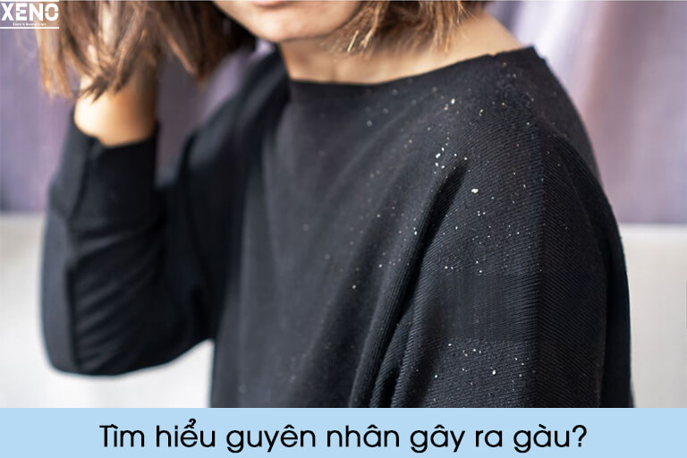 nguyen-nhan-gay-ra-gau-nam-ngua